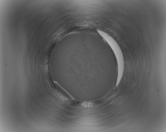 X0000064740762200603031707