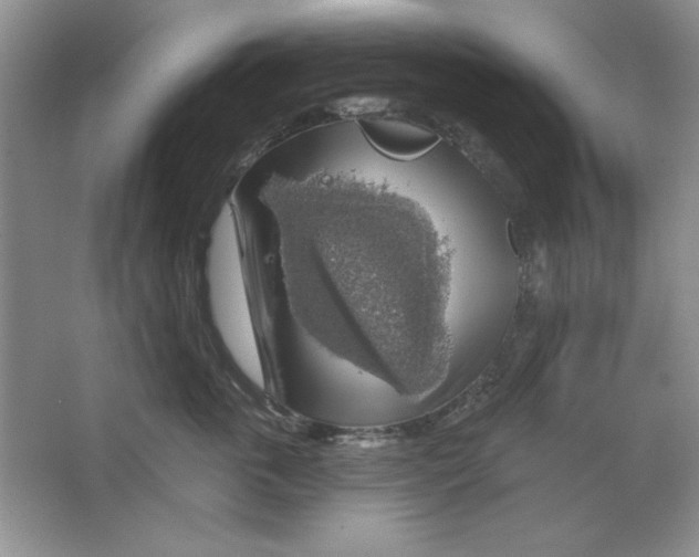 X0000064740763200603031707