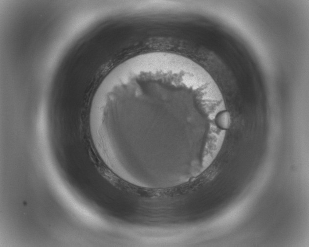 X0000064740765200603031707