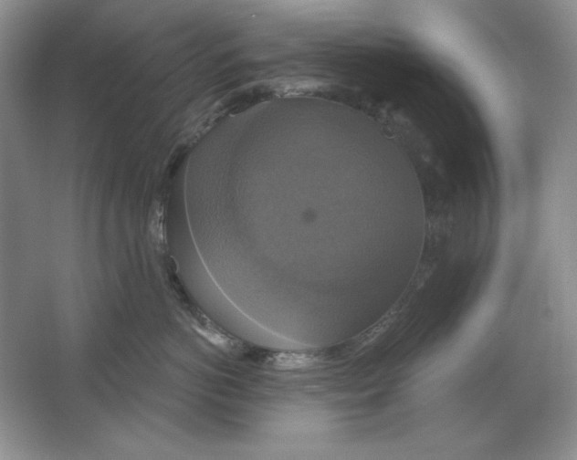 X0000064740766200603031707