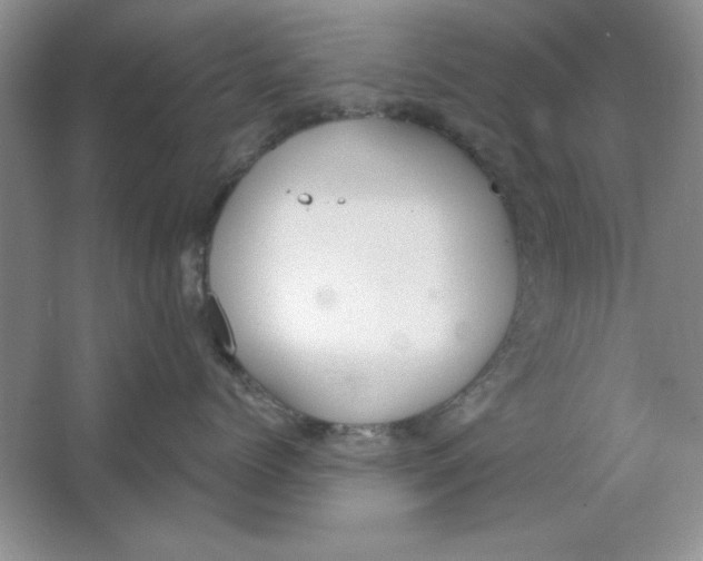 X0000064740768200603031707