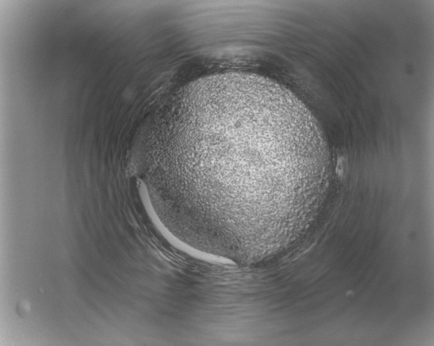 X0000064740771200603031706