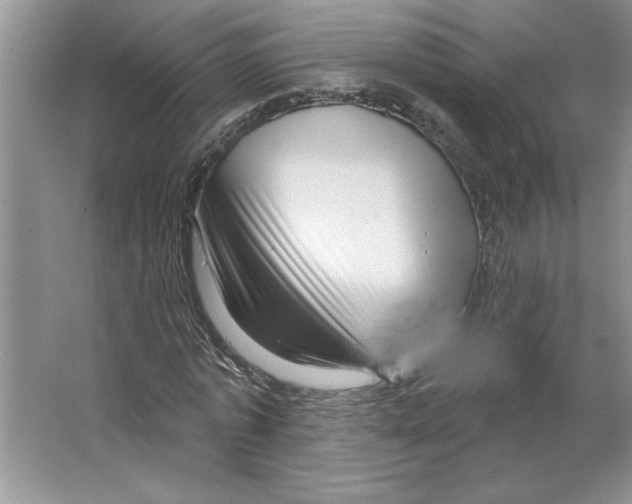 X0000064740773200603031706