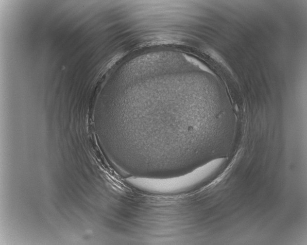 X0000064740777200603031706