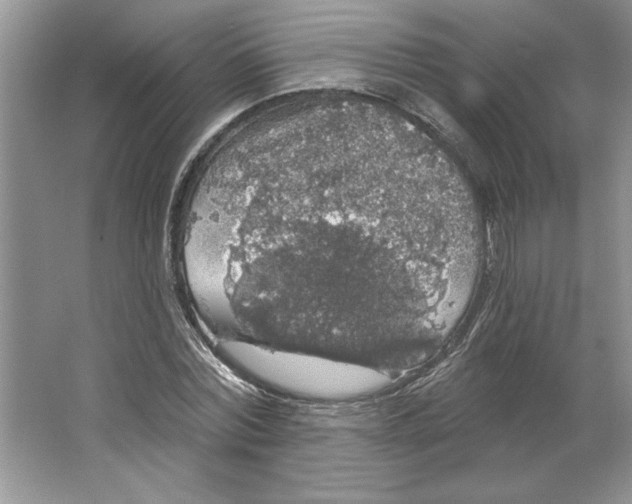 X0000064740780200603031706