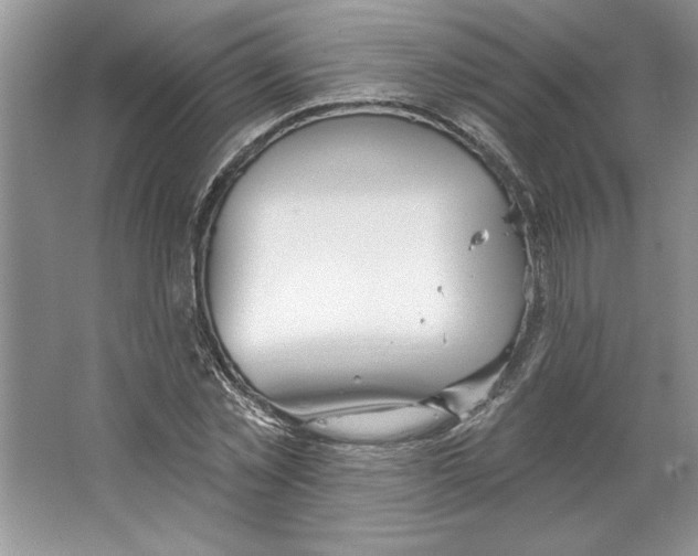 X0000064740781200603031706