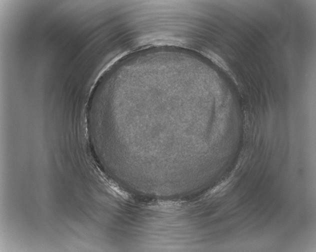 X0000064740782200603031706