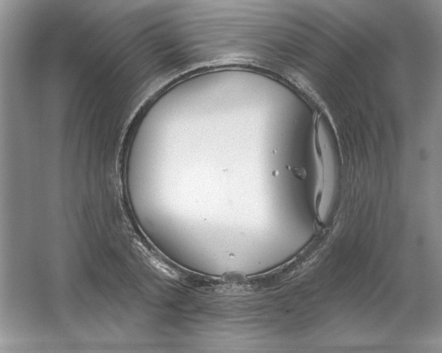 X0000064740789200603031706