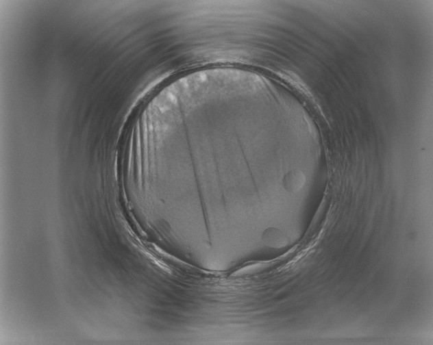 X0000064740790200603031706