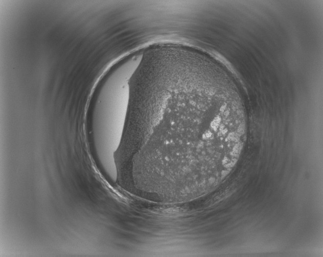 X0000064740791200603031706