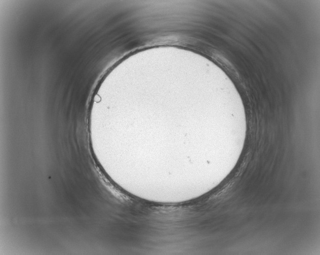 X0000064740800200603031706