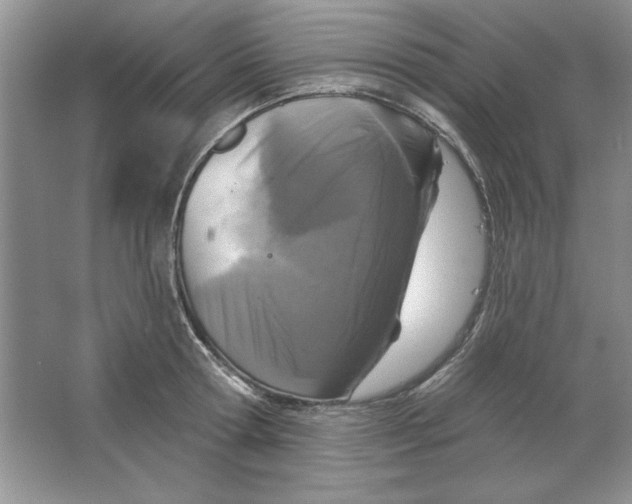 X0000064740802200603031706