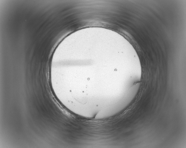 X0000064740804200603031706