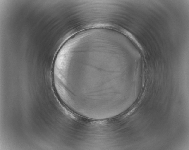 X0000064740810200603031706