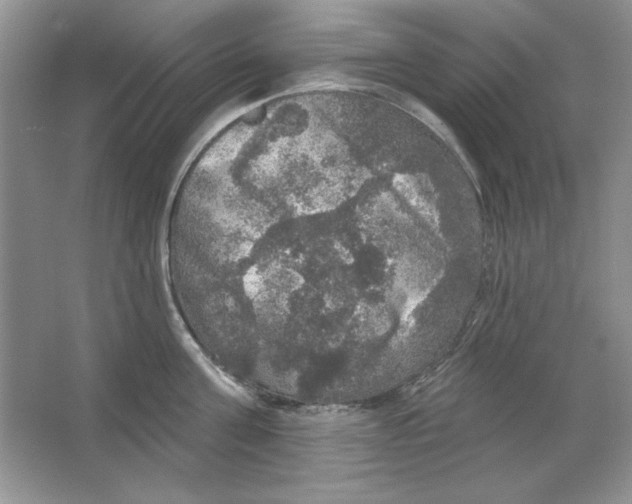 X0000064740811200603031706