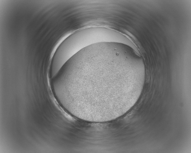 X0000064740812200603031706