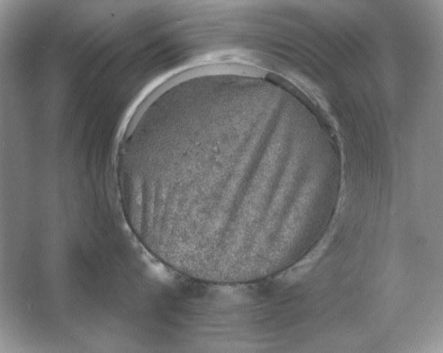 X0000064740816200603031706