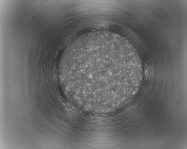 X0000064740819200603031705