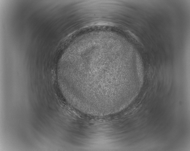 X0000064740821200603031705