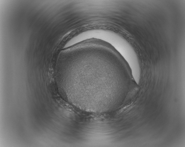 X0000064740822200603031705