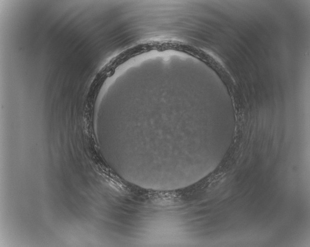 X0000064740823200603031705