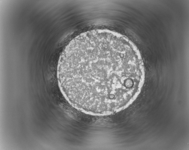 X0000064740824200603031705