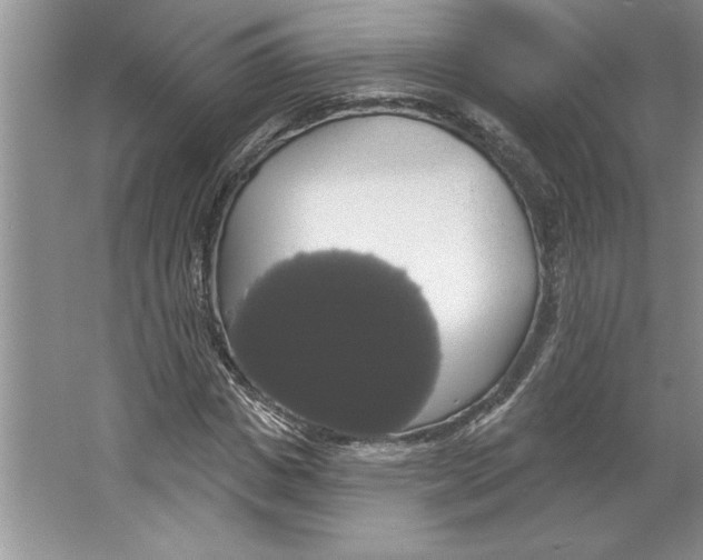 X0000064740825200603031705