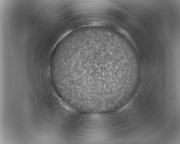 X0000064740827200603031705