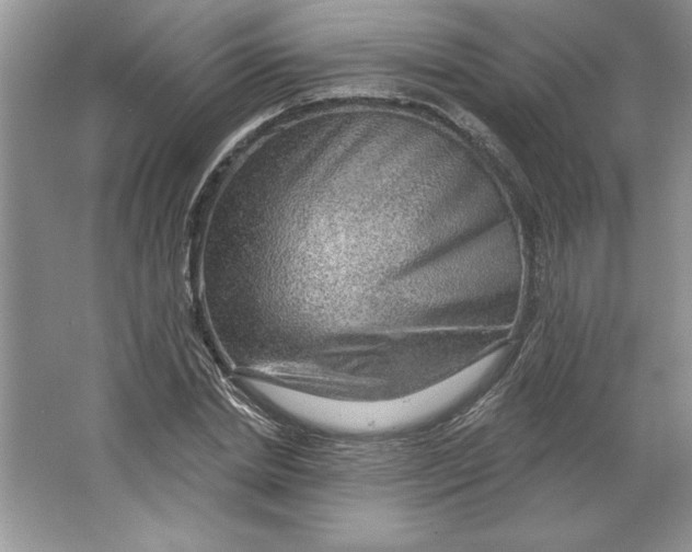 X0000064740830200603031705