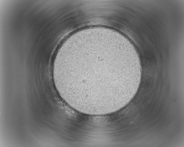 X0000064740832200603031705