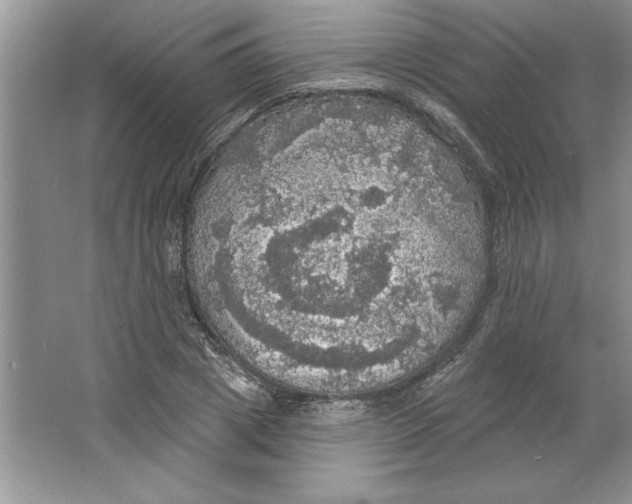 X0000064740833200603031705