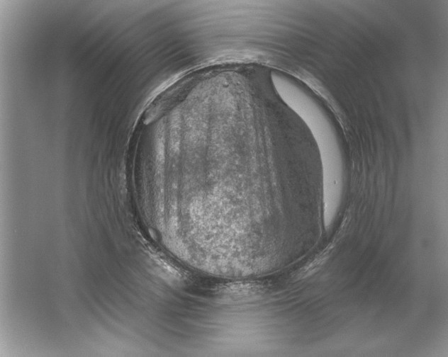 X0000064740834200603031705