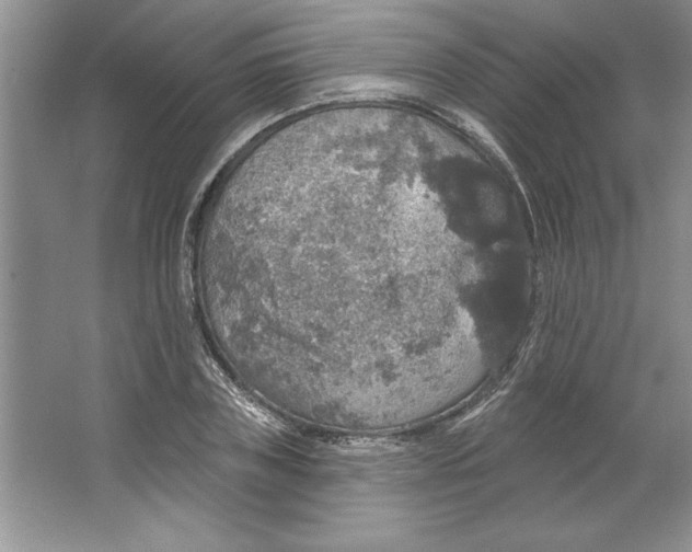 X0000064740835200603031705