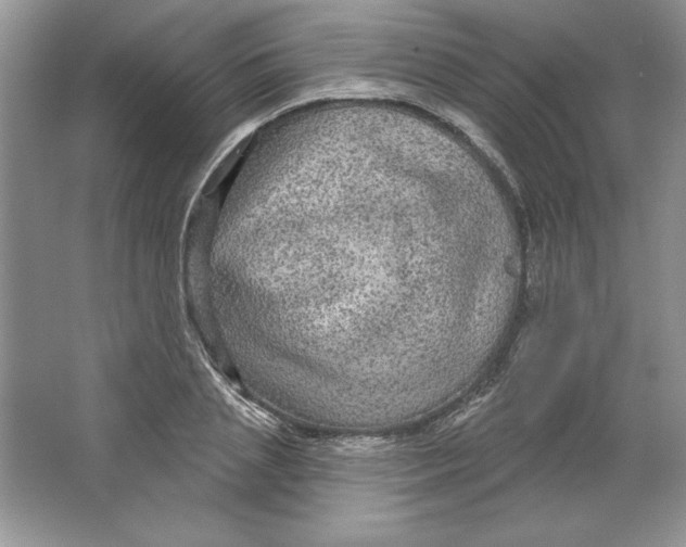 X0000064740837200603031705