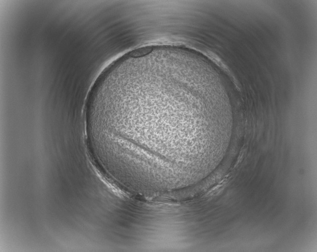 X0000064740838200603031705