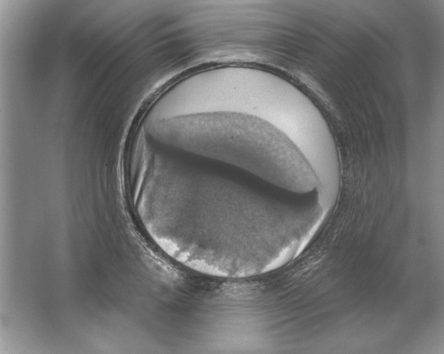 X0000064740840200603031705