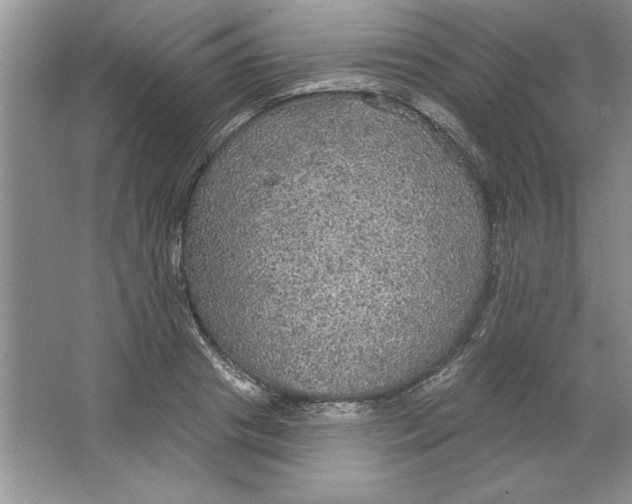 X0000064740841200603031705