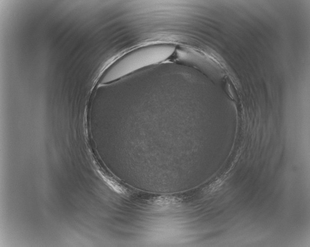 X0000064740842200603031705