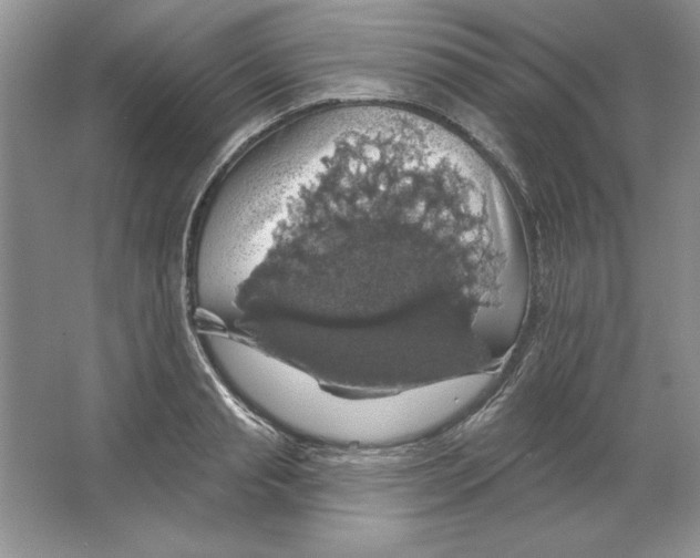 X0000064740845200603031705