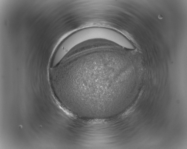 X0000064740846200603031705