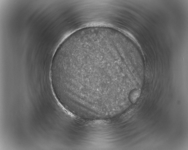 X0000064740847200603031705