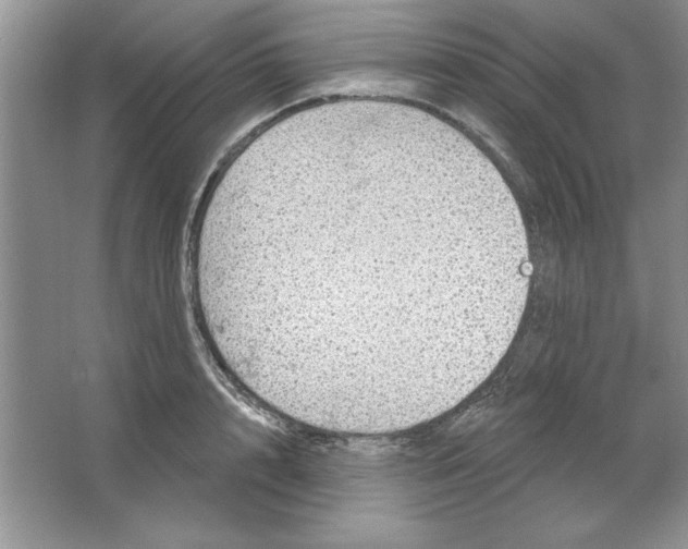 X0000064740848200603031705