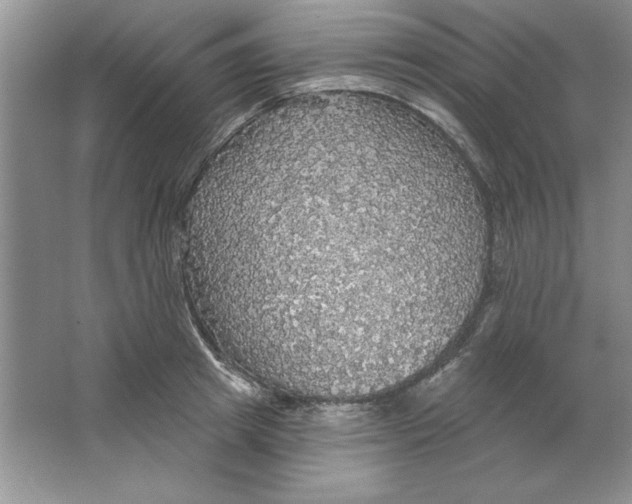 X0000064740849200603031705