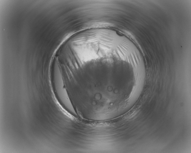 X0000064740851200603031705