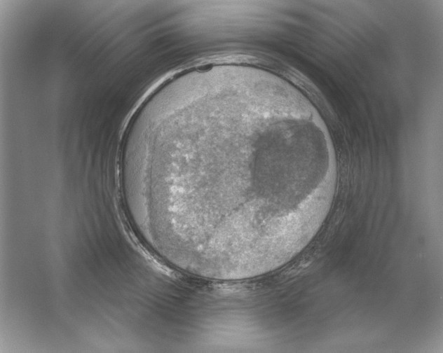 X0000064740852200603031705