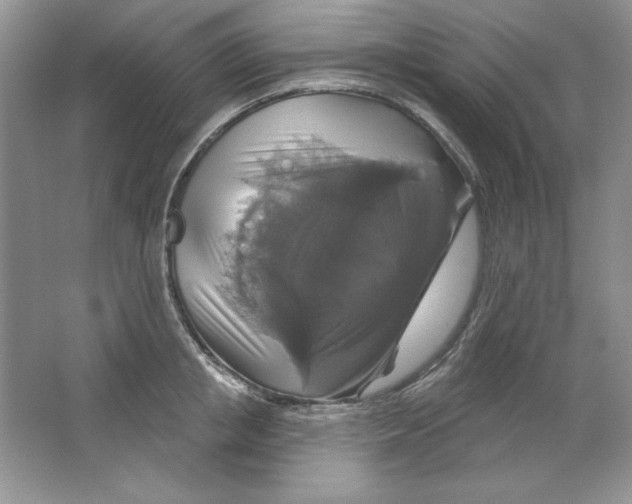 X0000064740853200603031705