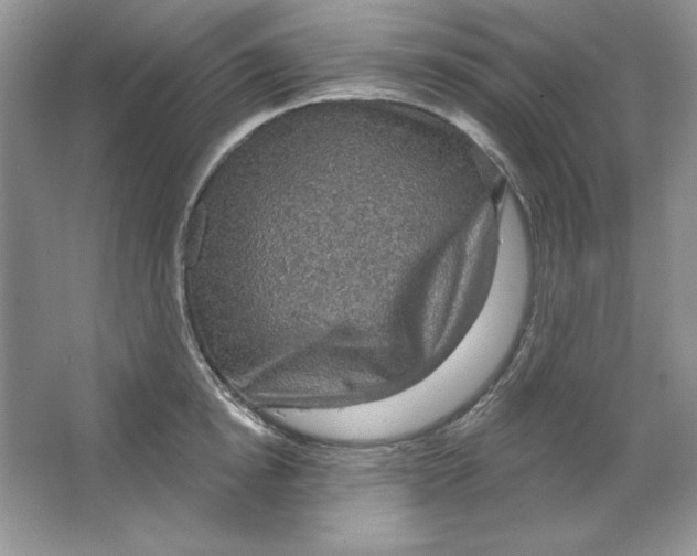 X0000064740854200603031705