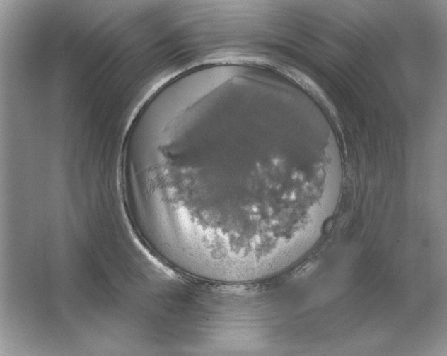 X0000064740855200603031705