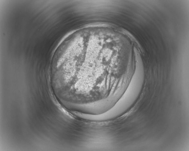 X0000064740860200603031706