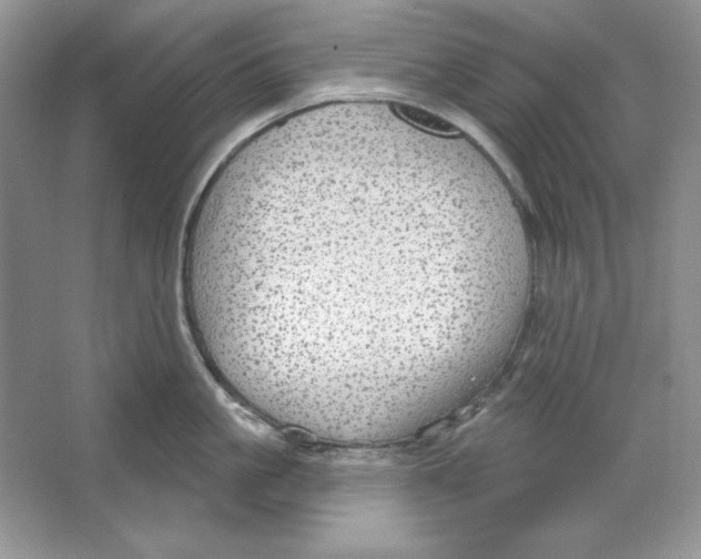 X0000064740861200603031706